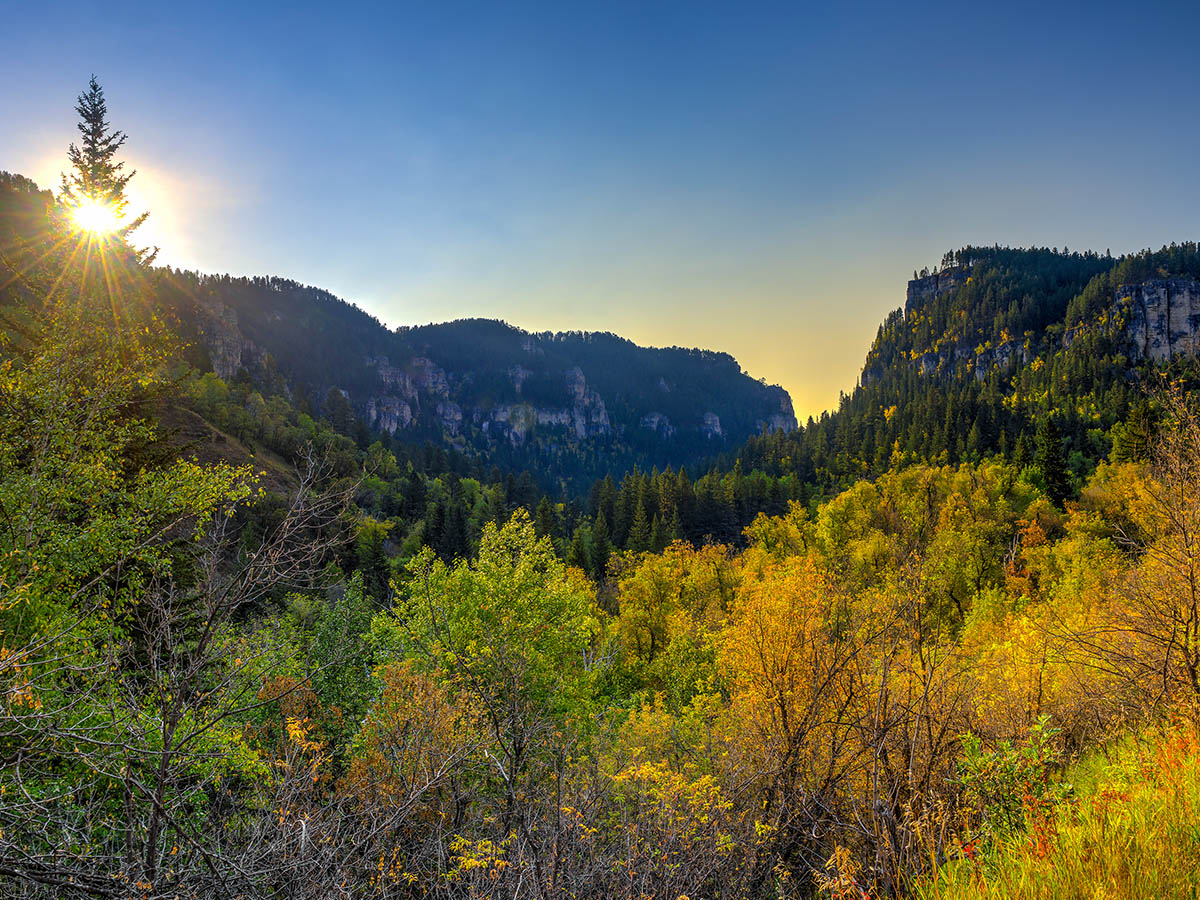 Photo of Spearfich Canyon in the Fall.